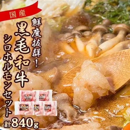 国産黒毛和牛シロホルモンセット　840g A3-383【配送不可地域：離島】【1694678】