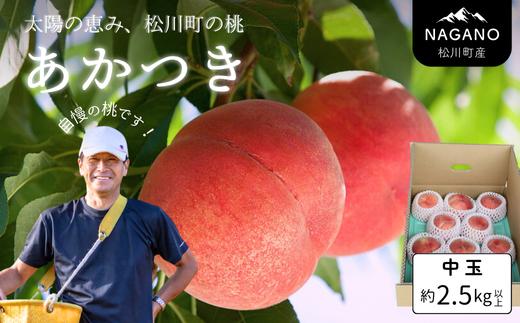 KM01-26A 【先行予約】桃 あかつき 中玉 約2.5kg以上（7～10玉）贈答 ／2026年7月中旬頃～配送予定 // 長野県 南信州 松川町 モモ 贈答 産地直送 新鮮  もも 甘い 約3kg 冷蔵便 クール便