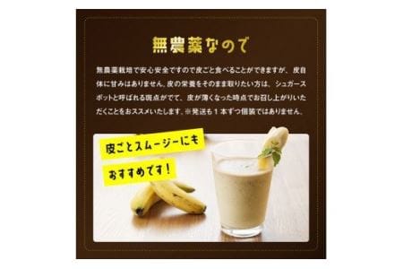 【訳あり】国産ミニバナナ1kg【国産 バナナ 無農薬 フルーツ 果物 デザート 朝食 スムージー 訳ありバナナ】