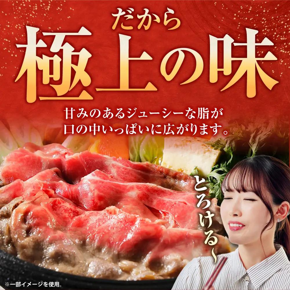 厳選佐賀牛ヒレステーキ 計200g（約100g×2） / 希少部位 黒毛和牛 ヒレ フィレ 肉 / 佐賀県 / 有限会社片岡精肉店[41AEAC021]