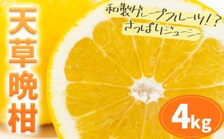 【2027年先行予約】柑橘 天草晩柑 4kg あまくさ晩柑 晩柑 ばんかん 天草 苓北 都呂々 九州 熊本 果物 フルーツ 送料無料《2027年3月上旬-5月下旬頃出荷予定》