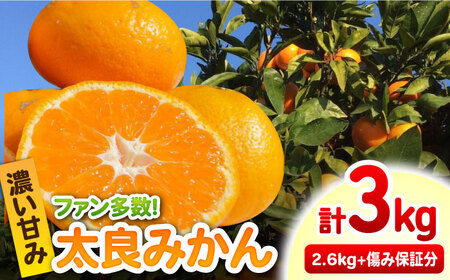 【12/22（日）までのお申込みで年内お届け】【年内発送】完熟 太良みかん 計3kg（2.6kg＋400g傷み保証分）/ フルーツ 果物 みかん 蜜柑 ミカン / 佐賀県 / 山本農園 [41ATBT002]