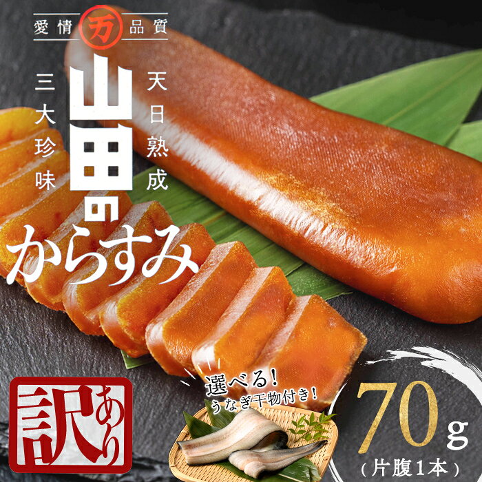 【ふるさと納税】【訳あり】国産からすみ 片腹1本（70g以上）選べる！うなぎ干物1尾付きセット カラスミ 唐墨 おつまみ 干物 干し物 魚卵 珍味 冷凍 鹿児島県 垂水市【山田水産】