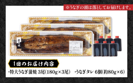 【6回定期便】国産 鰻 うなぎ蒲焼 特大3尾 /すみまる [UDH015] うなぎ