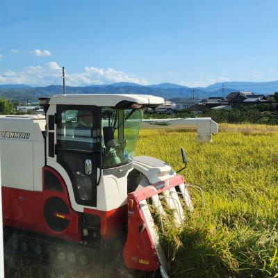 ふるさと納税 紀の川市 前田農園のキヌムスメ 5kg 和歌山県紀の川市【白米】 |  | 03