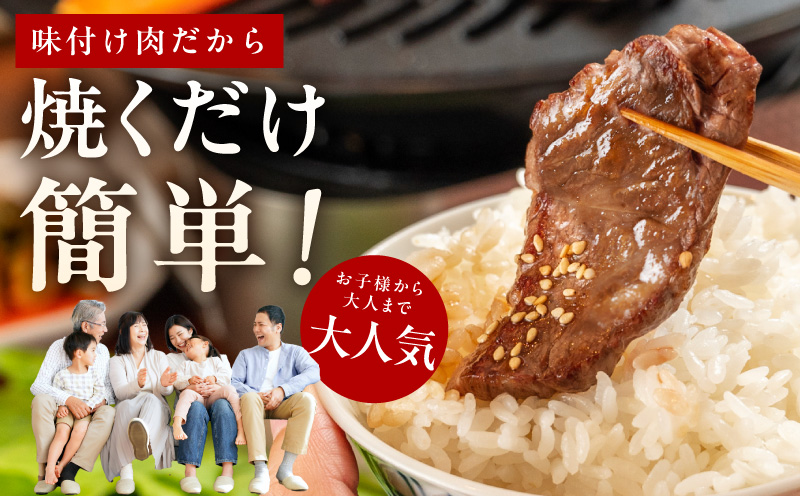 【氷温熟成×極味付け】牛肉 ハラミ 2kg（250g×8P） mrz0387
