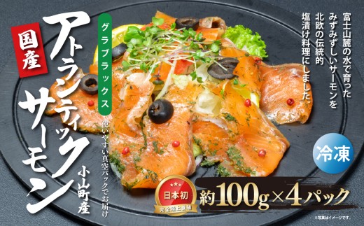 国産 静岡県小山町産 アトランティックサーモン 冷凍 グラブラックス 約100g×4パック | サーモン 小分け 真空パック 燻製 国産 鮭 養殖 静岡県 小山町