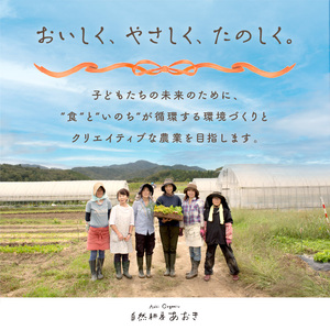 自然栽培じゃがいも2.5㎏｜芋