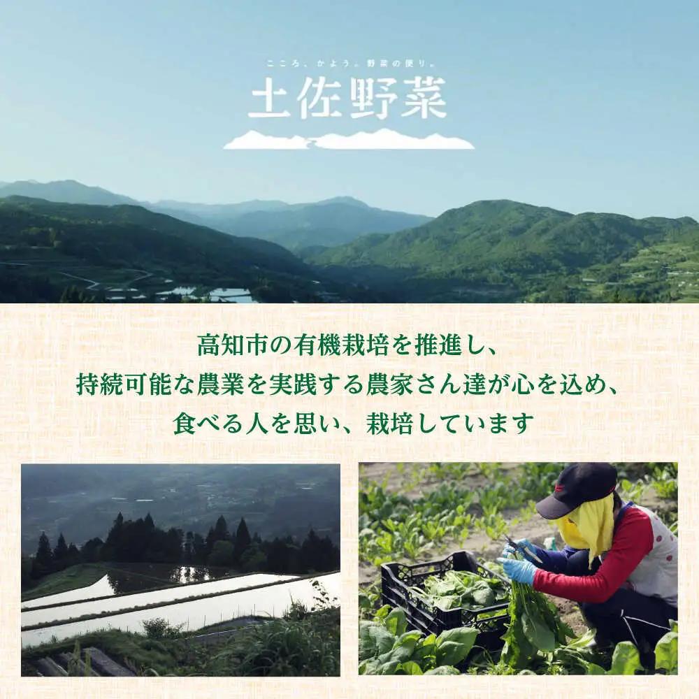【3回定期便】 土佐の太陽をいっぱいに浴びた旬の野菜セット小 (3回配送) / 野菜 高知【土佐野菜】 [ATBA005]