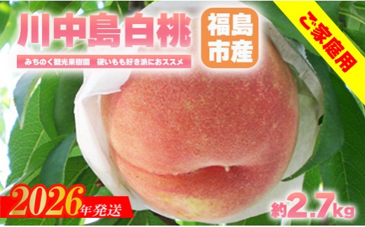 No.2986もも「川中島白桃」ご家庭用　約2.7kg【2026年発送　先行予約】