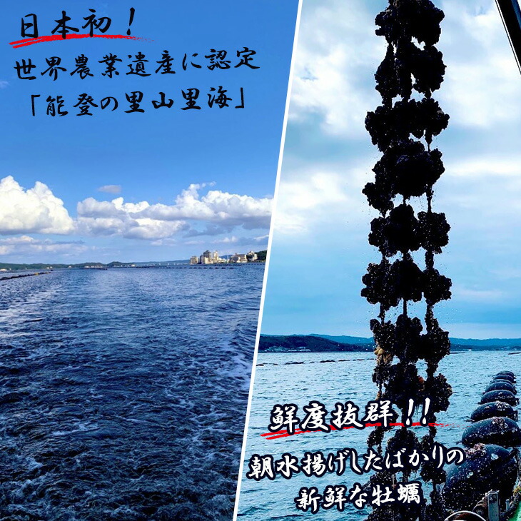 【発送時期が選べる】能登かき むき身（加熱用） 900g~1kg ※離島への発送不可 ※2025年1月上旬～4月下旬頃に順次発送予定