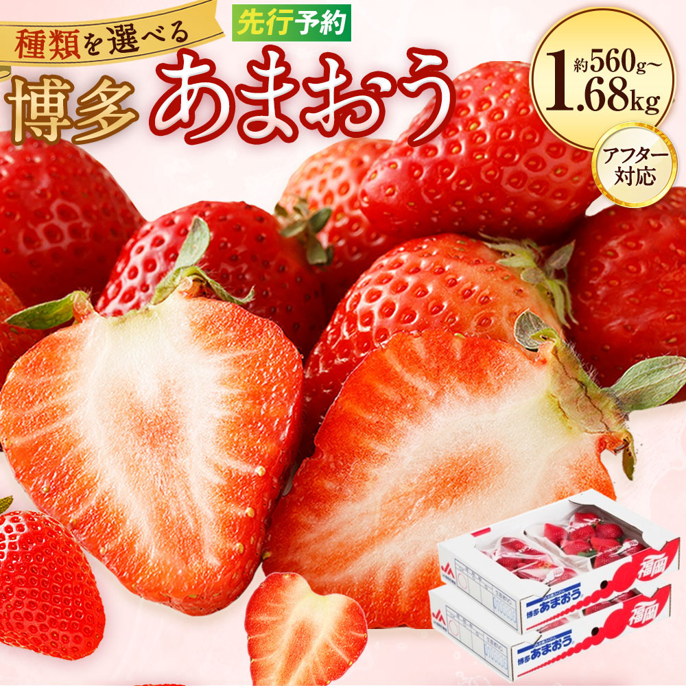 【ふるさと納税】【アフター対応】 ＜選べる＞ 博多 あまおう 合計約500g～1.5kg 約250g×2～6パック DX上級品 苺 いちご イチゴ フルーツ 果物 くだもの 国産 九州 福岡県産 冷蔵 先行予約 送料無料