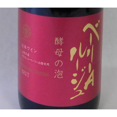 ふるさと納税 山梨県 山梨県産ベーリーA種から造った辛口赤のスパークリングワイン【マンズワイン】 |  | 01