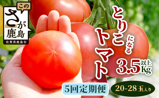 【5回定期便】【先行受付】2026年12月下旬より順次発送予定｜とりこになるトマト 3.5kg以上｜トマト 野菜 農家直送 ギフト 人気｜佐賀県鹿島市｜たにぐちファーム Ricotomato（リコトマト）～とりこになるトマト～D-161