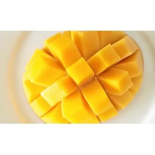【先行予約】西都産完熟マンゴー Ｌサイズ×3個 鉢植栽培 宮崎県西都産 サムライファーム 2026年発送＜24-4a＞