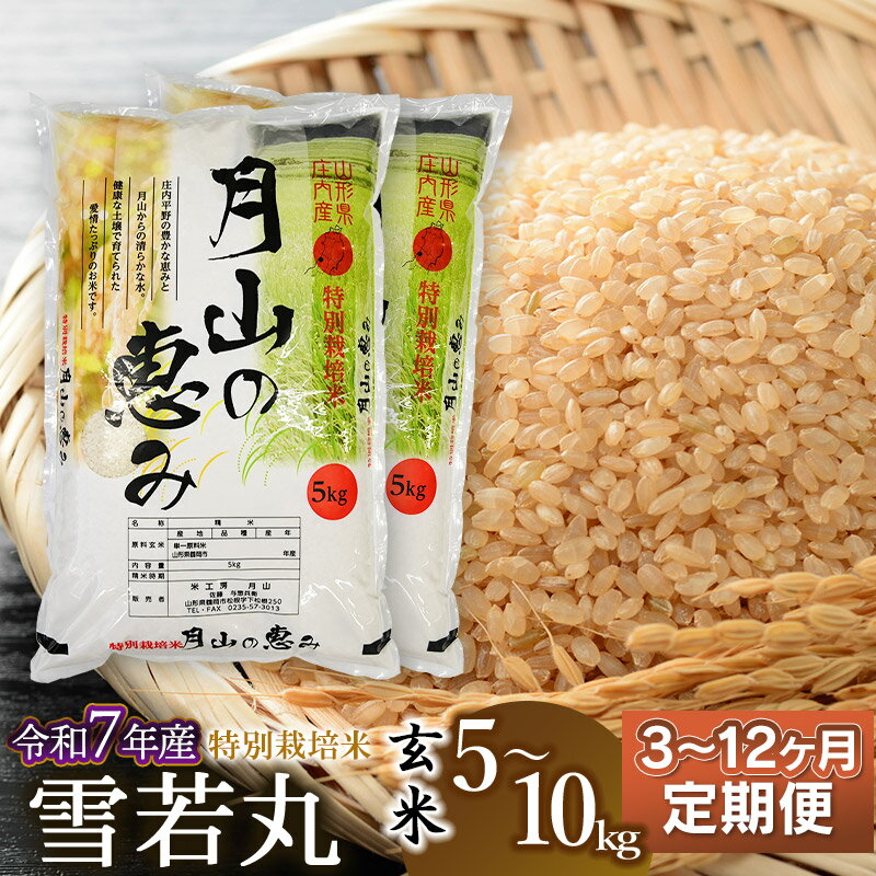 【ふるさと納税】令和7年産 定期便　特別栽培米 雪若丸 玄米 選べる容量（5kg・10kg）・発送回数（3・6・12回） 毎月1回中旬発送 | 山形県 鶴岡市 ブランド米 特産品 お取り寄せ お米 おこめ