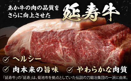 【6回定期便】熊本県産 延寿牛 あか牛 ロース ステーキ 約 500g【有限会社 九州食肉産業】[ZDQ109]
