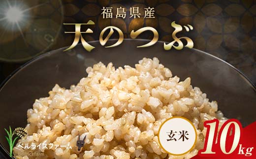 〈先行予約〉令和８年産 農家直送 ベルライスファームの天のつぶ 玄米10kg F6U-443