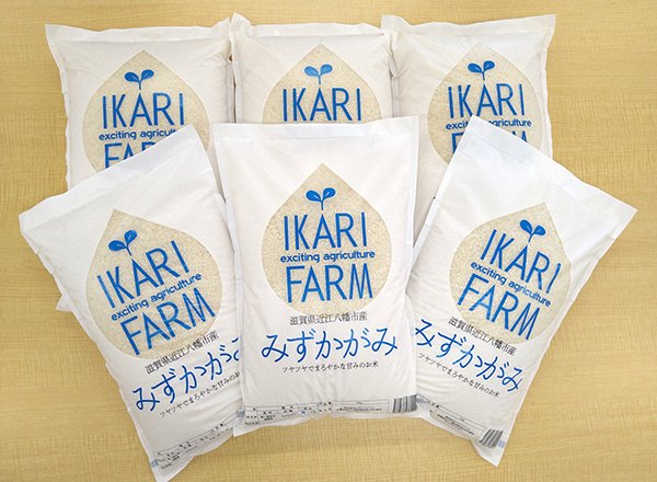 【新米】【7年産】みずかがみ　白米定期便　６か月で５kg