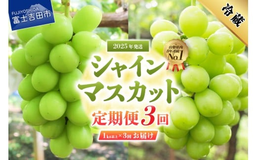 【2025年発送】【3回定期便】ジューシーで甘さ抜群 厳選シャインマスカット1kg以上×3回配送 シャインマスカット ぶどう 果物 フルーツ 旬 山梨県 2025年 山梨 富士吉田市
