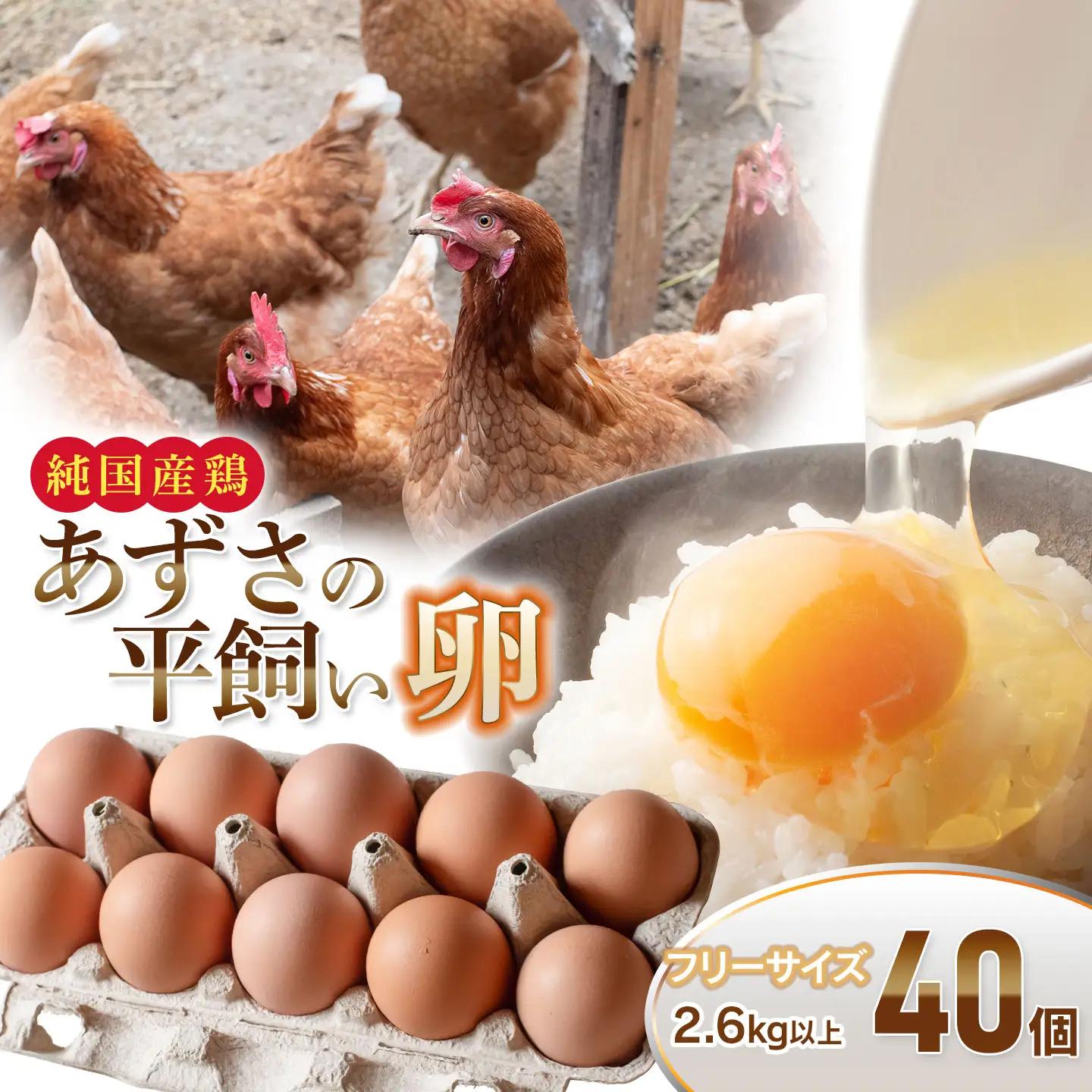 純国産鶏あずさの平飼い卵 40個 (フリーサイズ) 山形県鶴岡市 おーぼ | 卵 たまご タマゴ 玉子 鶏卵 平飼い卵 自然卵 生卵 卵かけご飯 たまごかけご飯 卵かけごはん たまごかけご飯 卵料理 甘み 国産 東北 山形 鶴岡市産 冷蔵 送料無料