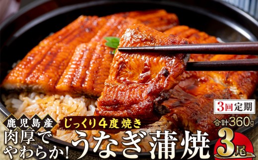 【3回定期】うなぎ 蒲焼 120g×3尾【鹿児島産】地下水で育てた絶品鰻