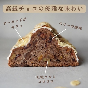 天然酵母シュトレンショコラーデ ハーフサイズ 約300g シュトーレン シュトーレン