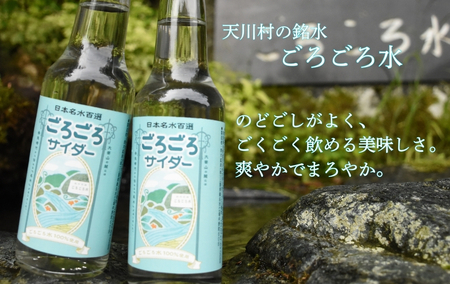 ごろごろサイダー 250ml×1箱（24本入） サイダー 【ftu01】