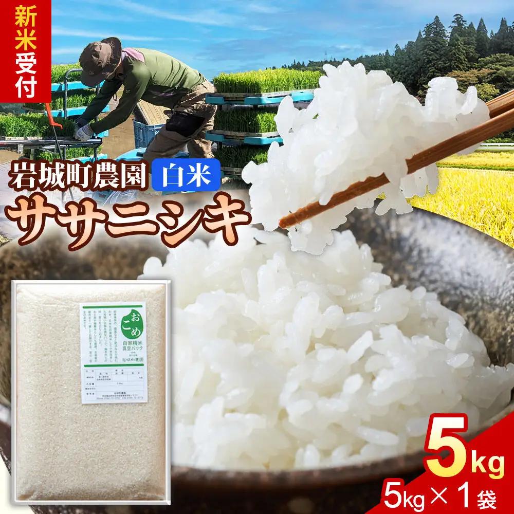 《令和8年産 新米》【白米】ササニシキ 5kg(5kg×1袋) 秋田県 由利本荘市産 真空パック 岩城町農園