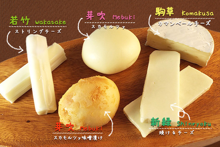 雫石チーズ工房 ふるさと納税 セット【7種】 チーズ 乳製品 ストリング ストリングチーズ さけるチーズ フレッシュチーズ スカモルツァ 焼けるチーズ 焼くチーズ カマンベールチーズ 味噌漬け みそ漬