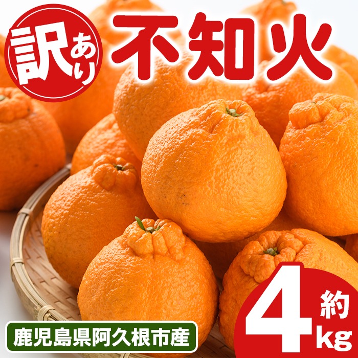 ＜先行予約受付中！2026年3月上旬以降順次発送予定＞訳あり！露地栽培の不知火(4kg) 国産 不知火 しらぬい 柑橘 果物 フルーツ デザート 露地 果実 期間限定 数量限定【古田果樹園】akn093-03