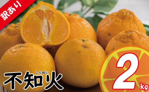 【先行予約】 訳あり みかん 不知火 しらぬい 約2kg | デコポン でこぽん と同品種 みかん ミカン 蜜柑 愛媛みかん 愛媛ミカン 果物 くだもの フルーツ 家庭用 国産 産地直送 お取り寄せ 愛媛県産 愛媛県 松山市 2026年3月中旬頃より発送予定