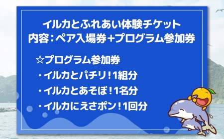 イルカと遊ぼうFor Kids（イルカとふれあい体験チケット）体験チケット | 津久見市