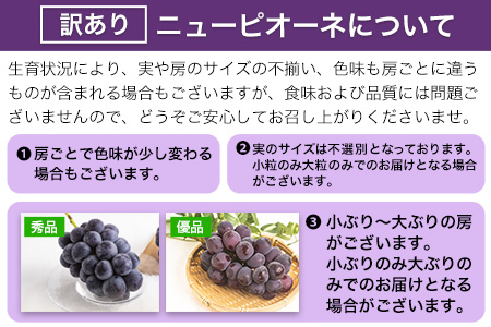 ピオーネ ぶどう 葡萄 岡山県産 訳あり ニューピオーネ 約1.2kg 2房《2024年9月中旬～11月中旬頃に出荷予定(土日祝除く)》 果物 訳あり 優品 厳選出荷 スイーツ フルーツ デザート 岡