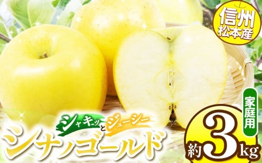 信州松本産　シナノゴールド　約3kg 家庭用（訳あり品） │ 林檎 りんご リンゴ シナノゴールド 果汁 果物 貴重 くだもの フルーツ 自然 旬 ご褒美 長野県 信州 松本 ふるさと納税