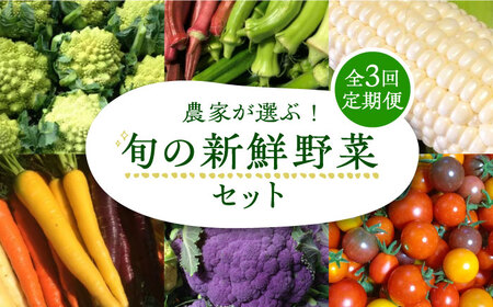 【全3回定期便】農家が選ぶ！ 旬の新鮮野菜セット[VBE008]産直 野菜 やさい 詰め合わせ