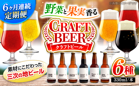 【全6回定期便】クラフトビール（地ビール）6種類[APCA005] ビール