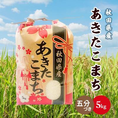 ふるさと納税 潟上市 【毎月定期便】秋田県産あきたこまち 5kg(五分づき)全12回