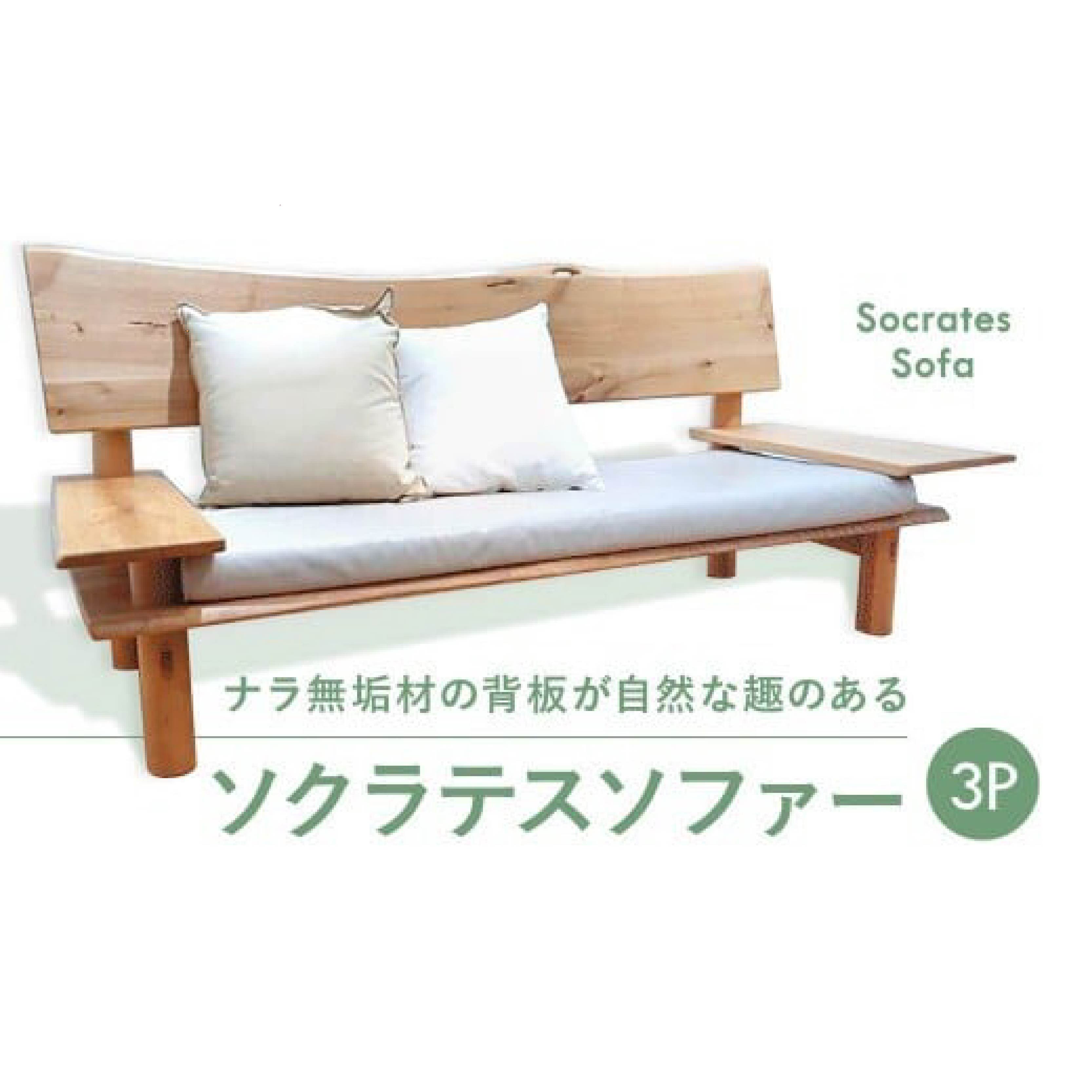 【ふるさと納税】 ソクラテスソファー 3P 奈良市 なら