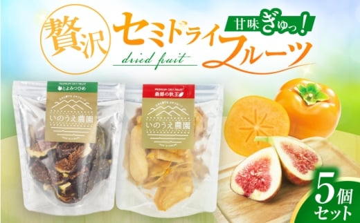 いのうえ農園 【秋王・とよみつひめ】セミドライアソート5個セット 広川町 / 亀井通産（株） [AFAR037]