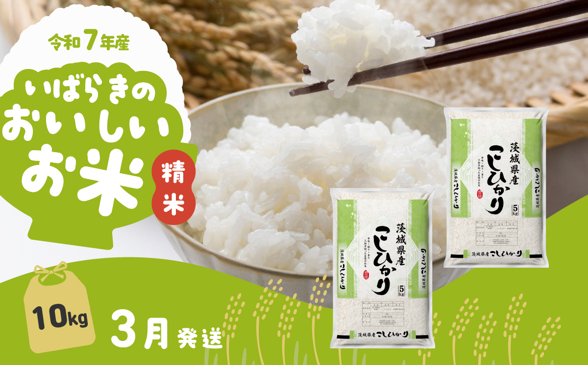 【3月発送】コシヒカリ 10kg (5kg x 2袋) 令和7年産 白米 精米 茨城県 下妻市 お米 米
