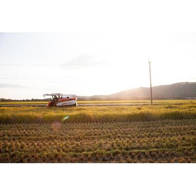 ふるさと納税 長浜市 【令和6年産】滋賀県長浜市　お米が甘い!特別栽培”ミルキークイーン”5K白米 |  | 01