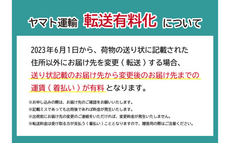 【先行予約】いちご あまりん 260g×4P 苺 あまりん　＼ 期間限定 特別寄附額 ／