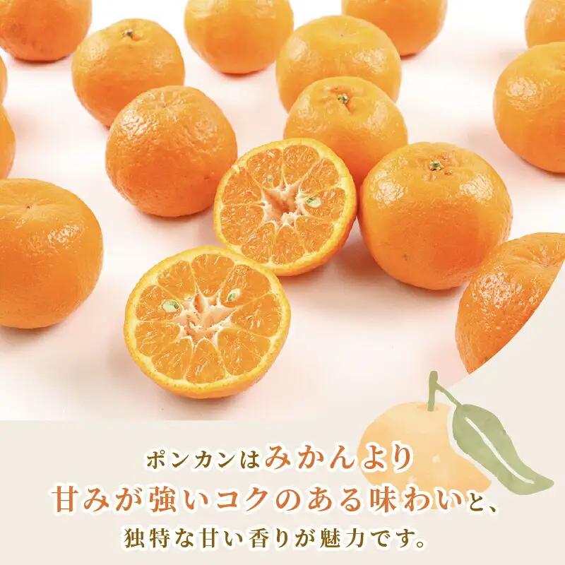 準 贈答用 ポンカン 5kg 矢野青果 ポンカン B012-171007