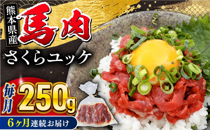 【全6回定期便】 馬肉さくらユッケ 250g ( 50g × 5 ) 馬刺し 【五右衛門フーズ】 [YBZ033]