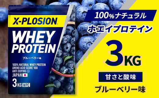 
                  ＜ブルーベリー味＞WPC 100%ナチュラルホエイプロテイン 3kg【1455282】
                