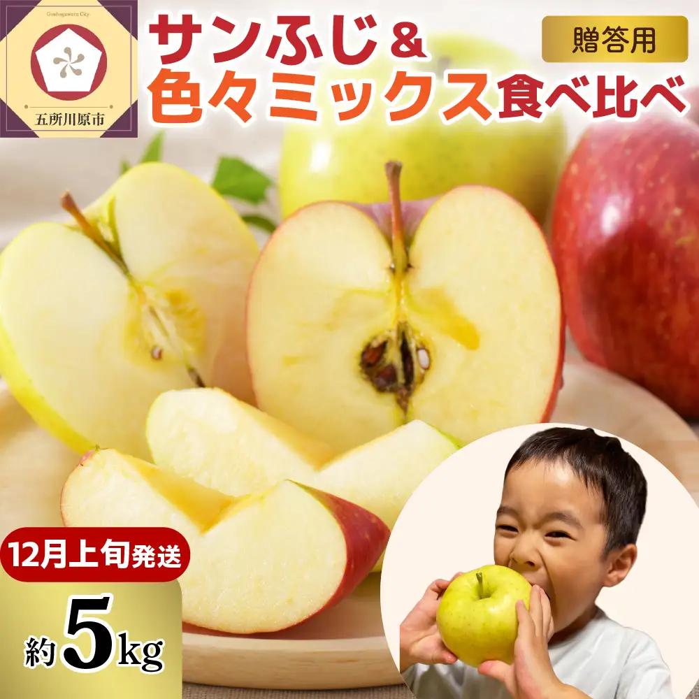 【2026年12月上旬発送】りんご 青森産 約5kg 津軽 完熟 サンふじ ＆ 色々ミックス 贈答用