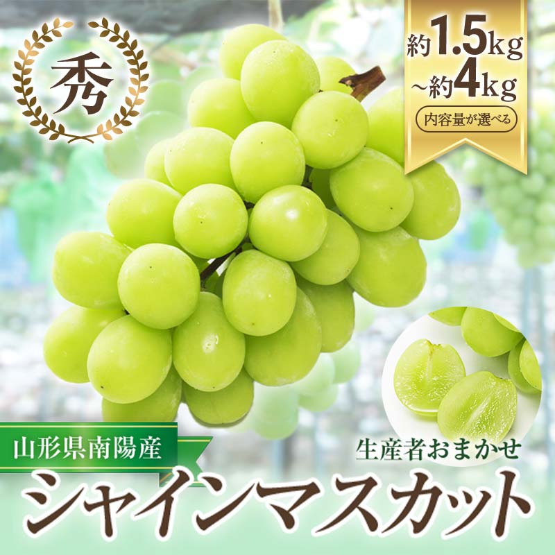 【ふるさと納税】 【令和8年産先行予約】 シャインマスカット 約1.5kg (2～3房) 約2kg (3～4房) 約4kg (5～8房) 秀品 《令和8年9月中旬～発送》 『生産者おまかせ』 マスカット ぶどう 果物 フルーツ デザート 山形県 南陽市 [635-R8var]
