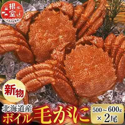 ふるさと納税 根室市 根室海鮮市場<直送>ボイル毛がに500〜600g×2尾 F-28030