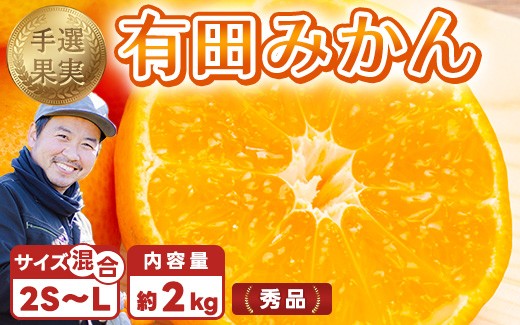 
            【まごころ手選別】和歌山産 有田みかん 2kg 1箱 (2S～Lサイズ混合) ※2025年11月上旬～2026年1月下旬頃に順次発送予定
          